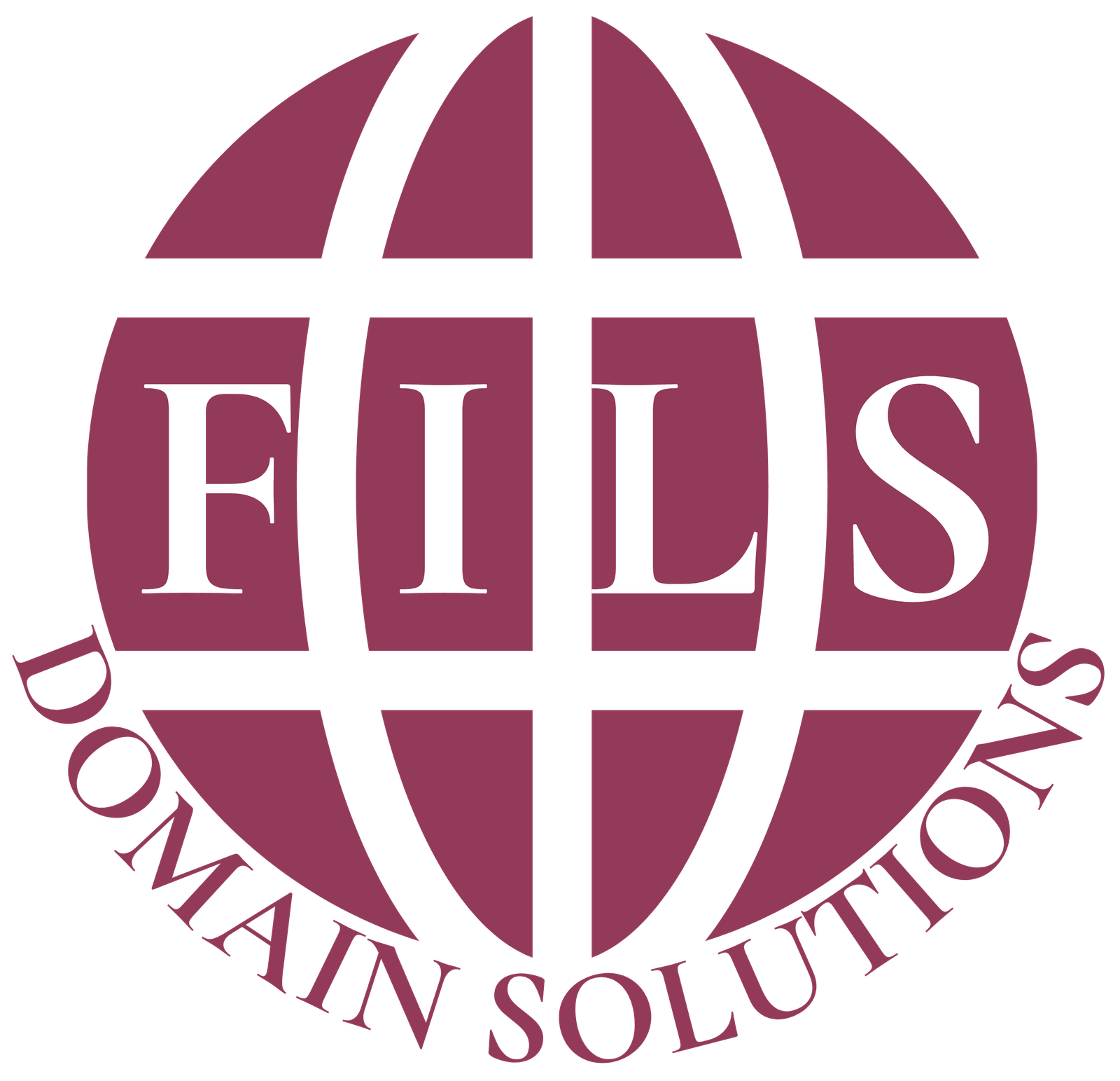 Fils Web Solutions Domain Solutions